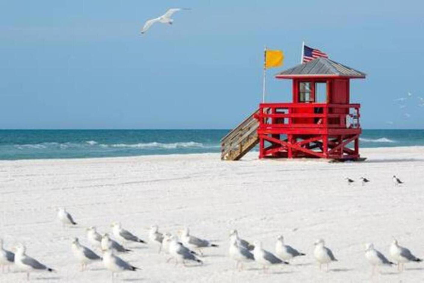 Fantastic Island House 1 Mile To The Beach With Heated Pool Sarasota Exterior foto